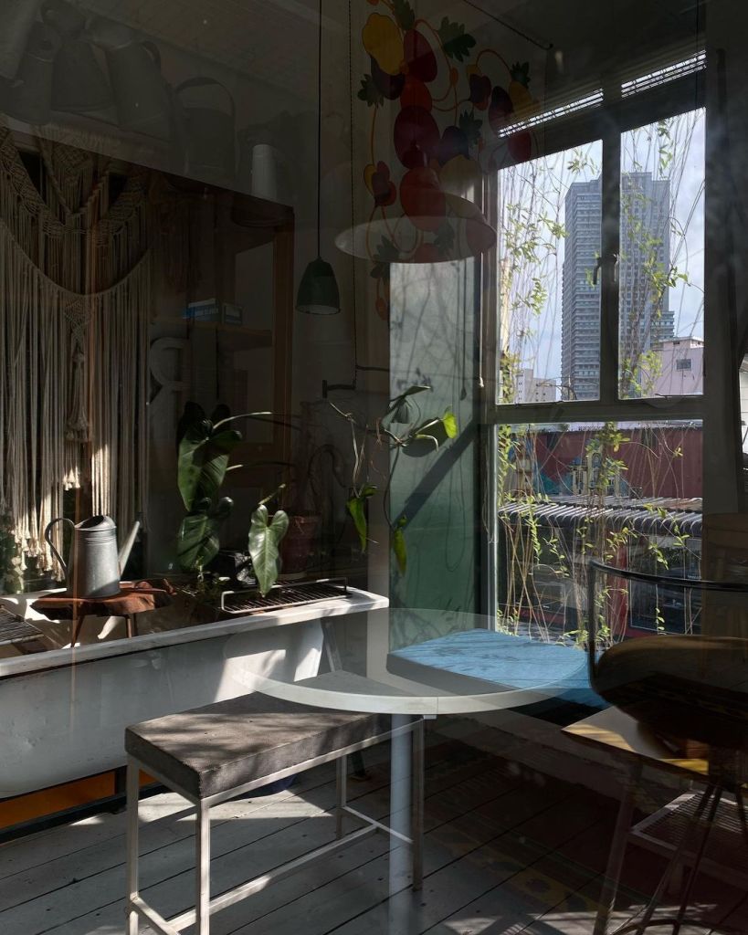 cafe in jb Flowers in the Window